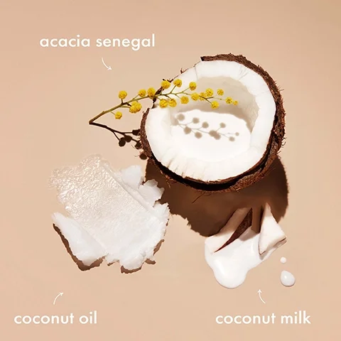 Image 1 - A halved coconut shows its white flesh and milk, with a small pile of coconut oil next to it and a yellow flower branch above, labeled with the text acacia senegal, coconut oil, and coconut milk.