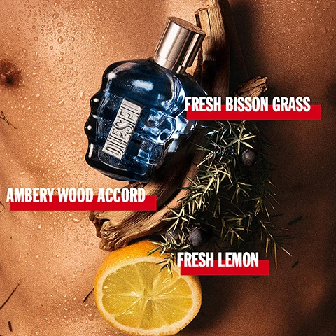Image 1, fresh bisson grass, ambery wood accord, fresh lemon. image 2, sound of the brave. image 3, sound of the brave, sound of the brave is revealed in an electric blue color a testimony to the charismatic leaders.