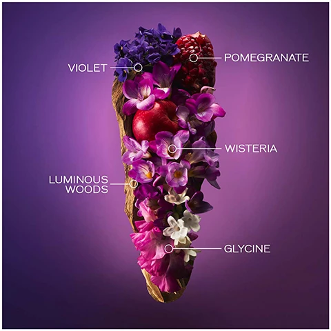 image 1, violet, pomegrante, wisteria, luminous woods, glycine. image 2, ginza eau de parfum murasaki floral and fruity bouquet.