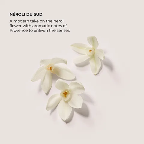 Neroli du sud, a modern take on the neroli flower with aromatic notes of provence to enliven the senses
