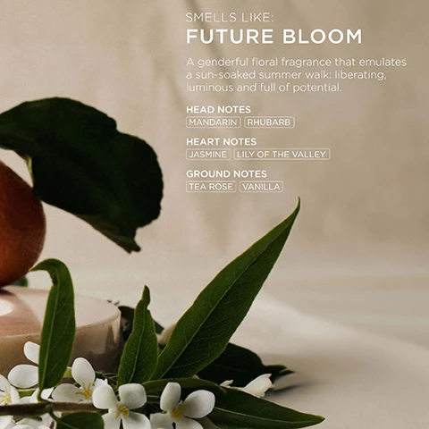 Image 6 - A close-up image of white flowers and green leaves in the foreground, with an orange-like fruit and a round object blurred in the background, all against a light beige setting, with text reading: SMELLS LIKE: FUTURE BLOOM A genderful floral fragrance that emulates a sun-soaked summer walk: liberating, luminous and full of potential. HEAD NOTES MANDARIN RHUBARB HEART NOTES JASMINE LILY OF THE VALLEY GROUND NOTES TEA ROSE VANILLA. Image 7 - A flat lay shows several pink ARKIVE beauty products, including bottles, tubes, and a dropper, some bearing the name BY ADAM REED, with large text reading MADE WITHOUT: ALUMINIUM, AMMONIA, LACTOSE, LATEX, MINERAL OIL, PARABENS, SULPHATE, GLUTEN, TALC, and smaller text on product labels such as THE GOOD HABIT HYBRID OIL HUILE POUR CHEVEUX 50 mL e 1.7 FL. OZ. (US), THE FUTURE YOUTH TREATMENT MASK MASQUE DE TRAITEMENT, THE CROWN SCALP SCRUB GOMMAGE POUR CUIR CHEVELU 180 ml e 6.0 fl. oz., 200 ml e 6.8 FL. OZ. (US), and 60 ml e 2.03 FL. OZ. (US), along with icons indicating Vegan, Certified B Corporation, Made with recycled content, Cruelty Free International, and Award Winning. Image 8 - The image shows five pink hair care products and a pink scalp massager on a shelf inside a green cabinet, with visible text including product labels THE FUTURE YOUTH TREATMENT MASK MASQUE DE TRAITEMENT BY ADAM REED, THE CROWN SCALP SCRUB GOMMAGE POUR CUIR CHEVELU BY ADAM REED 180 ml e 6.0 FL. OZ. (US), THE ROOT-INE SCALP SERUM SERUM POUR CUIR CHEVELU 50 ml e 1.7 FL. OZ. (US), THE GOOD HABIT HYBRID OIL HUILE POUR CHEVEUX 10 ml e 0.34 FL. OZ. (US), and overlay text describing benefits: Baobab Protein promotes strength & elasticity, Baobab + Coconut Oil to moisturise, soften & smooth, Shea Butter leaves hair shiny & supple. Image 9 - A tattooed hand holds a pink hair product tube that reads THE FUTURE YOUTH TREATMENT MASK MASQUE DE TRAITEMENT ARKIVE BY ADAM REED 180mle 6.0 FL.OZ, while the background displays white text instructions: HOW TO USE: After shampooing, squeeze a dollop into your hands and apply to hair. Work through the mid-lengths to-ends, and then up to the root and scalp. Leave on for 3 minutes then rinse thoroughly. TOP TIPS: Perfect for hair thats been stressed by heat, styling or climate. Pair with The Crown Scalp Scrub for a full root-to-tip ritual. For a deep conditioning treatment, apply to damp hair, wrap in a silk scarf and leave on for several hours or overnight.
