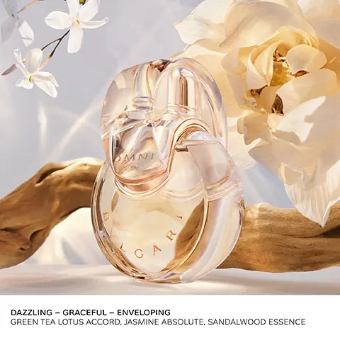 Image 1, OMNI CA R DAZZLING - GRACEFUL - ENVELOPING GREEN TEA LOTUS ACCORD. JASMINE ABSOLUTE, SANDALWOOD ESSENCE Image 2, BVLGARI OMNIA CRYSTALLINE THE NEW EAU DE PARFUM GREEN TEA LOTUS ACCORD JASMINE ABSOLUTE SANDALWOOD ESSENCE Image 3, JASMINE ABSOLUTE FROM <> PROGRAM THIS PROJECT AIMS TO PRODUCE SUSTAINABLE HIGH QUALITY JASMINE ABSOLUTE. LEVERAGE PERMACULTURE PRINCIPLES AND MAKE JASMINE PRODUCTION PROFITABLE AND ATTRACTIVE FOR FUTURE GENERATION. Image 4, BVLGARI OMNIA CRYSTALLINE THE ORIGINAL EAU DE TOILETTE AND THE NEW EAU DE PARFUM OMNIA OMNIA EAU DE TOILETTE EAU DE PARFUM RADIANT CRISPY GRACEFUL ENVELOPING