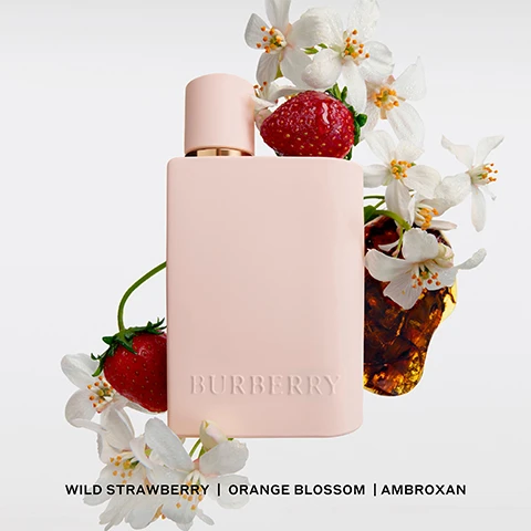 Image 1 - A pale pink perfume bottle with the word Burberry embossed on it is surrounded by white flowers and fresh strawberries, with wild strawberry, orange blossom, and ambroxan listed below.
Image 2 - Image shows a display of four Burberry fragrance bottles labeled Eau de Toilette, Eau de Parfum, Eau de Parfum Intense, and Elixir de Parfum, along with their scent descriptions: Green Pear, Honeysuckle, Musk; Dark Berries, Violet, Dry Amber; Wild Strawberry, Orange Blossom, Ambroxan; Dark Red Berries, Jasmine, Vanilla, with varying intensity levels indicated by filled and empty circles.
Image 3 - A white perfume bottle with a minimalist design is prominently displayed against a soft background, with the text BURBERRY HER and THE NEW EAU DE PARFUM INTENSE visible below.
Image 4 - Four Burberry perfume bottles are arranged side by side, with two in pastel pink and two in clear glass, labeled as Elixir de Parfum, Eau de Toilette, NEW Eau de Parfum Intense, and Eau de Parfum.