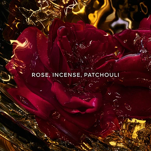 Image 1 - A close-up of a deep red rose partially submerged in a golden liquid with the text Rose, Incense, Patchouli displayed prominently.
Image 2 - The image shows two sections featuring natural ingredients, with the left side displaying a logo that states MORE THAN 90% NATURAL ORIGIN, and the right side highlighting the text ORGANIC BEETROOT ALCOHOL, along with a floral background and the label ABSOLUS ALLEGORIA COLLECTION at the bottom.
Image 3 - A silhouetted sailboat glides across shimmering water as the sun sets, with visible text reading AN ENCHANTINGLY MYSTERIOUS JOURNEY TO THE HEART OF THE WONDERS OF THE WORLD AT NIGHTFALL.