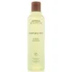 Champú suavizante Aveda Rosemary Mint