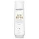 Champú reparador Rich Repair de Goldwell Dualsenses 250 ml