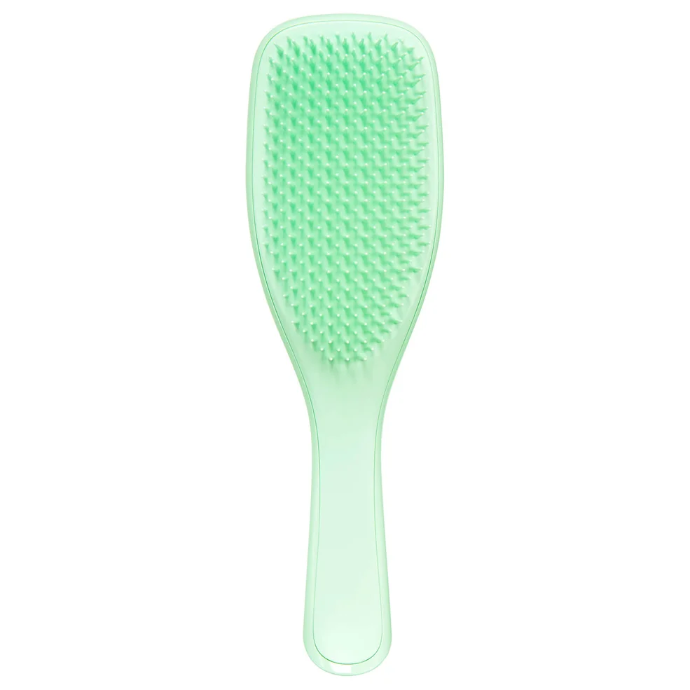 Tangle Teezer The Wet Detangler Hairbrush Mint Karma Imagen 1