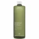 Exfoliante Aveda Botanical Kinetics (150ML)