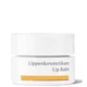 Bálsamo Labial Dr Hauschka (4,5ml)