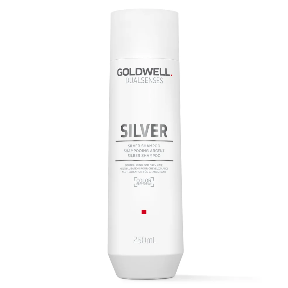 Champú plateado de Goldwell Dualsenses 250 ml Imagen 1