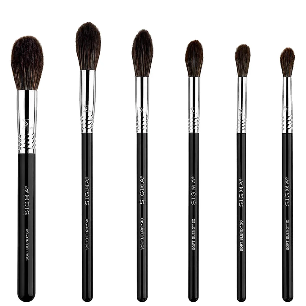 Sigma Beauty Soft Blend Brush Set Imagen 1