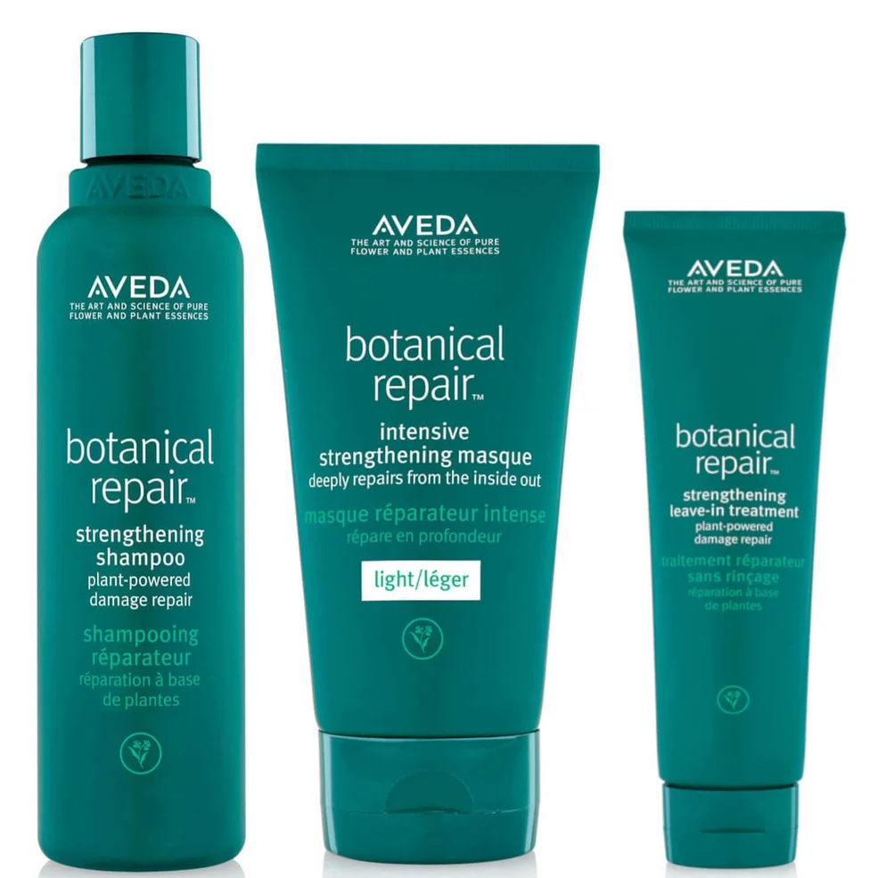 Aveda Botanical Repair Routine Imagen 1