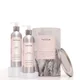 Somos Paradoxx Repair Haircare Kit