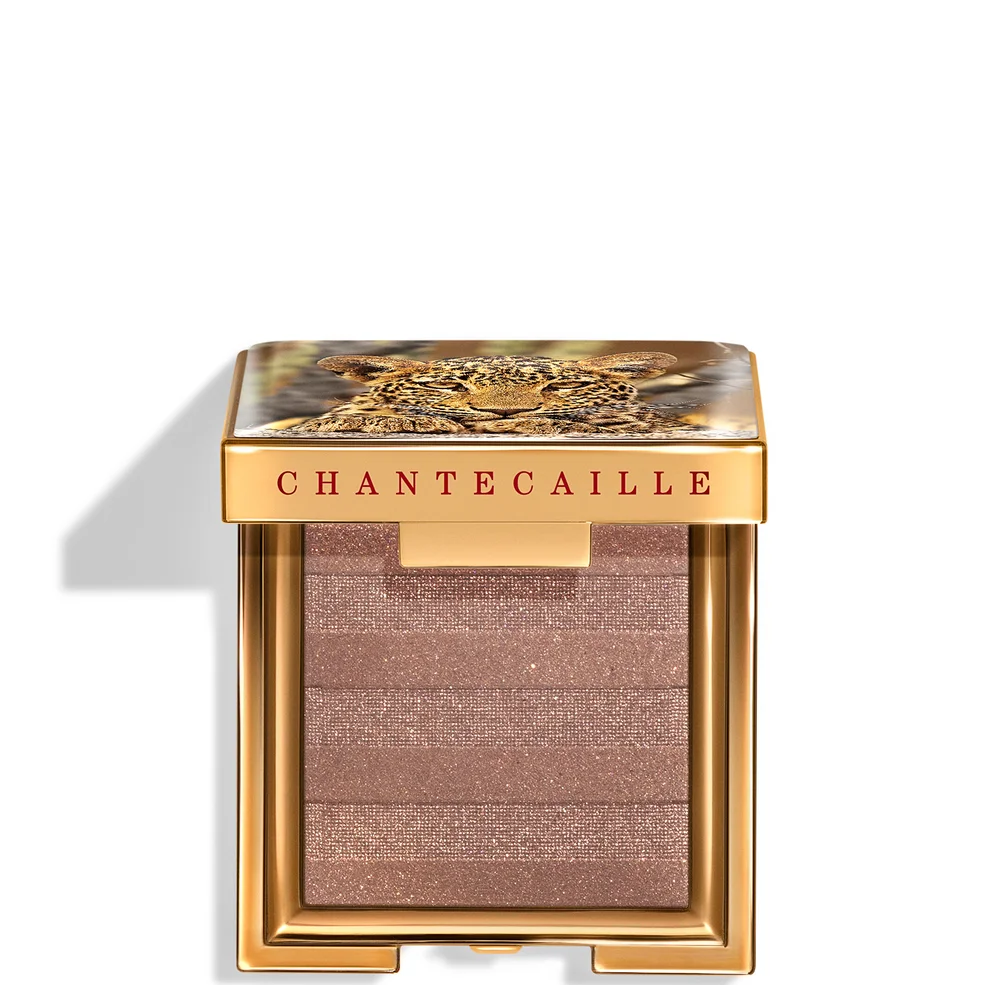 Chantecaille Luminescent Eye 2.5g (Various Shades) Imagen 1
