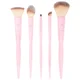 Set facial completo de Brushworks HD