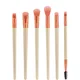 EcoTools Elements Fiery Eyes Kit