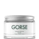 Laboratory Perfumes Gorse Cream 200ml