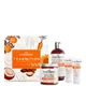 Kit Transition de Curlsmith