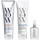 Color Wow Dream Clean Fine to Normal and Travel Dream Coat Supernatural Spray Trio