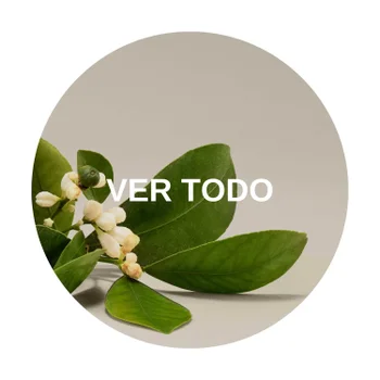 VER TODO Aveda