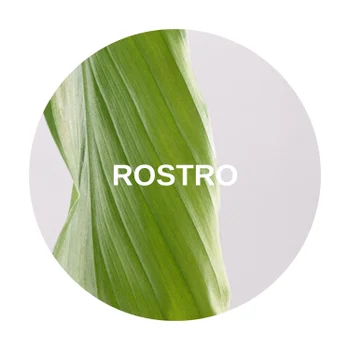 ROSTRO Aveda