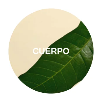 CUERPO Aveda